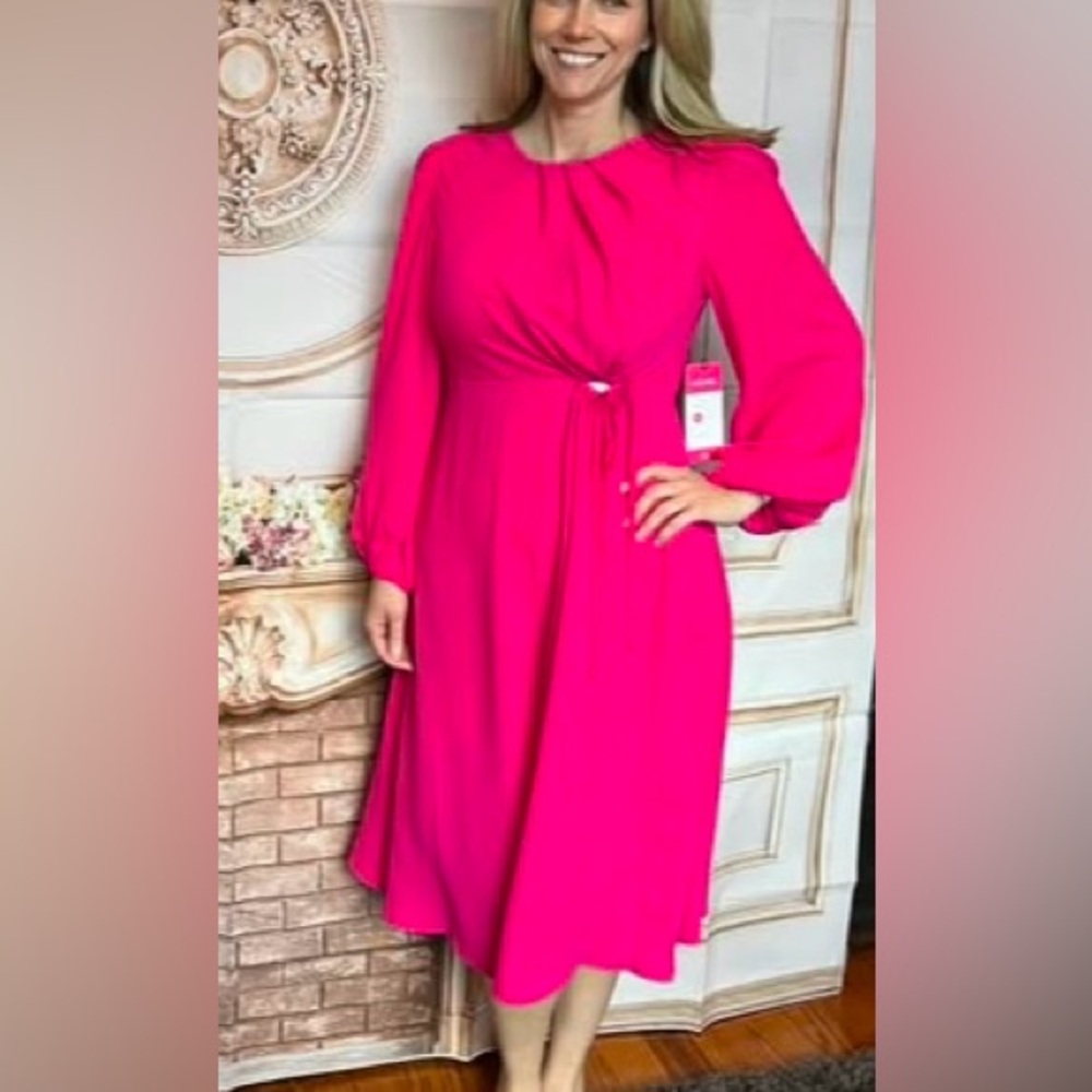 Cabi Delight Dress - Picture 13 of 15
